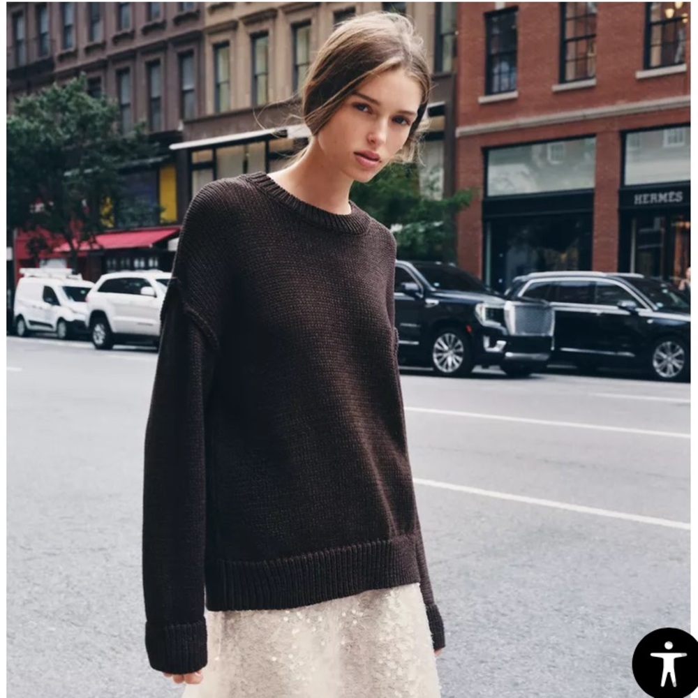 NWT Brown zara Sweater Sz S